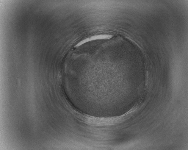 X0000063450048200602031819