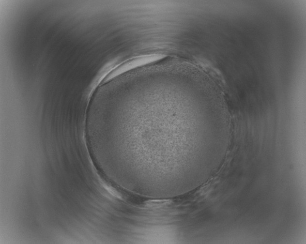 X0000063450051200602031818