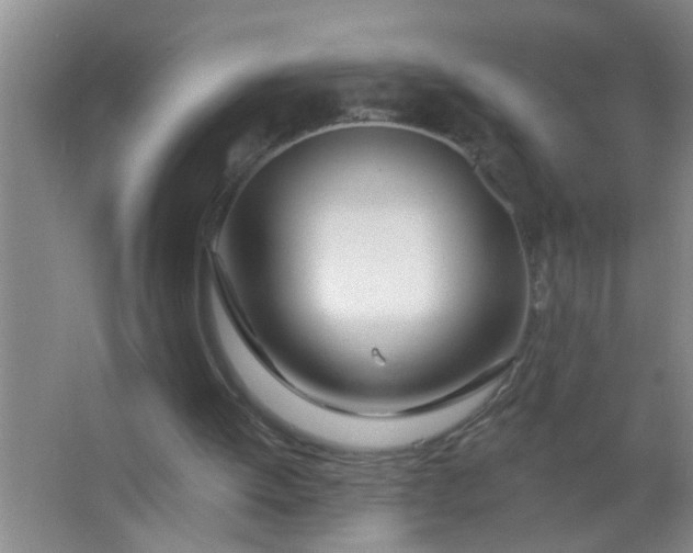 X0000063450052200602031818