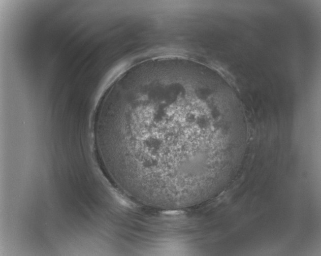 X0000063450053200602031818