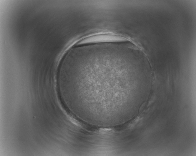 X0000063450055200602031818