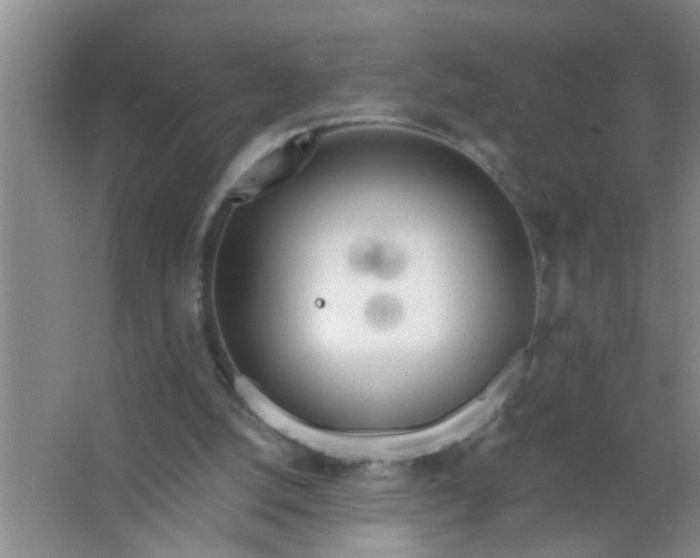 X0000063450056200602031818