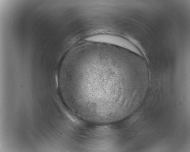 X0000063450061200602031818