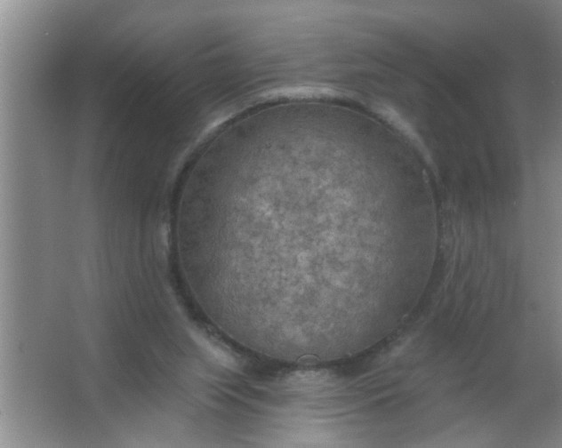 X0000063450063200602031818