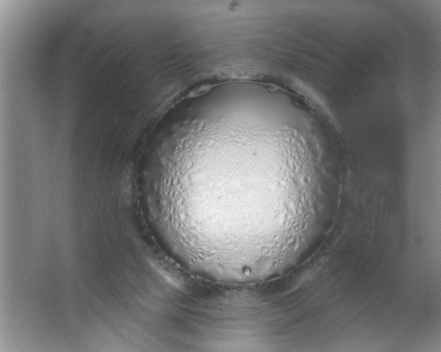 X0000063450065200602031818