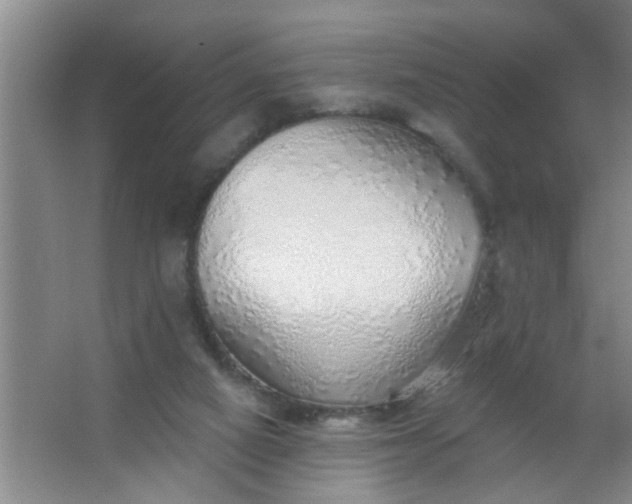 X0000063450066200602031818