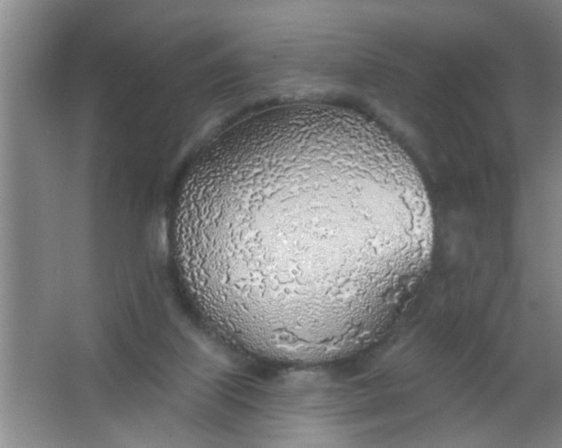 X0000063450067200602031818