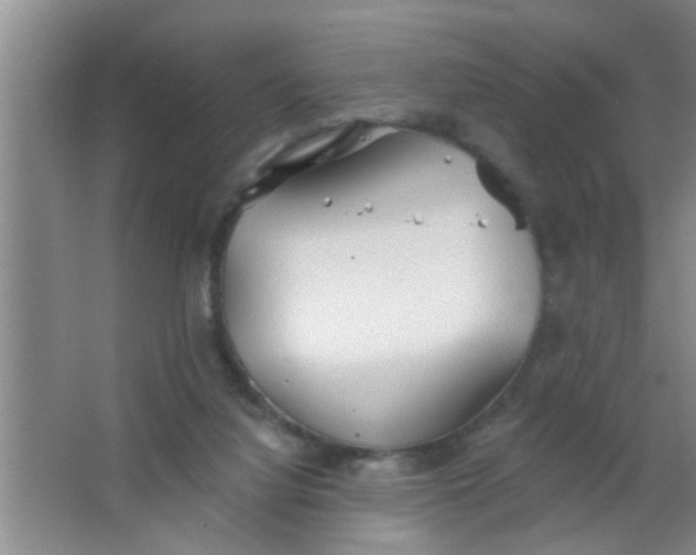 X0000063450068200602031818