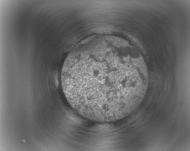 X0000063450069200602031819