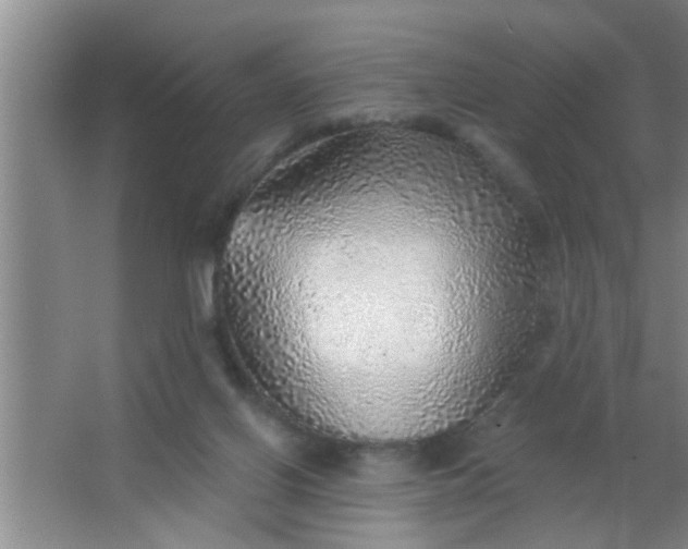 X0000063450070200602031819