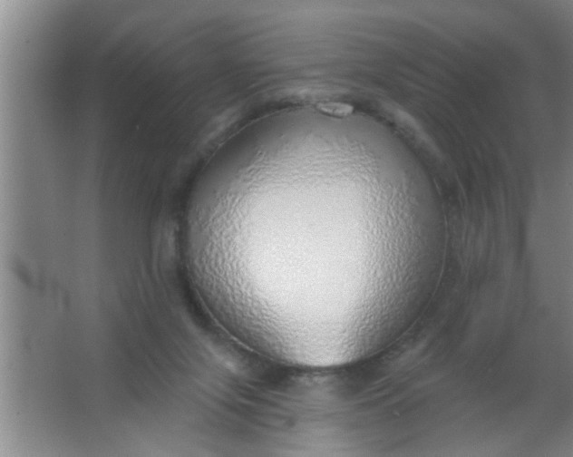 X0000063450071200602031819