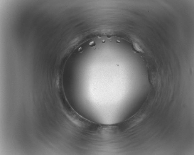 X0000063450072200602031819