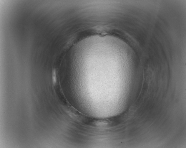 X0000063450075200602031819