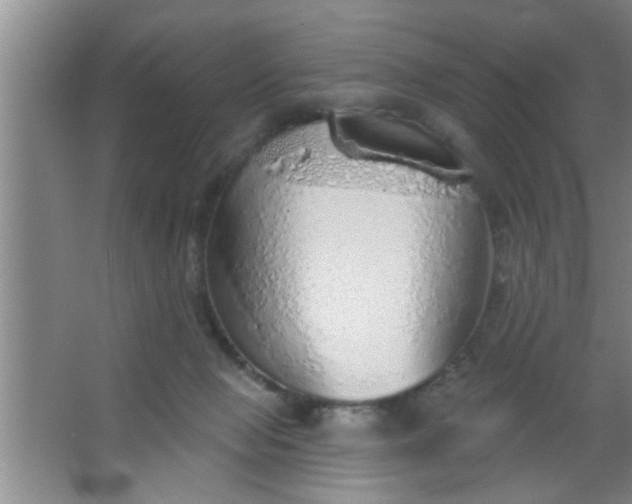 X0000063450077200602031819