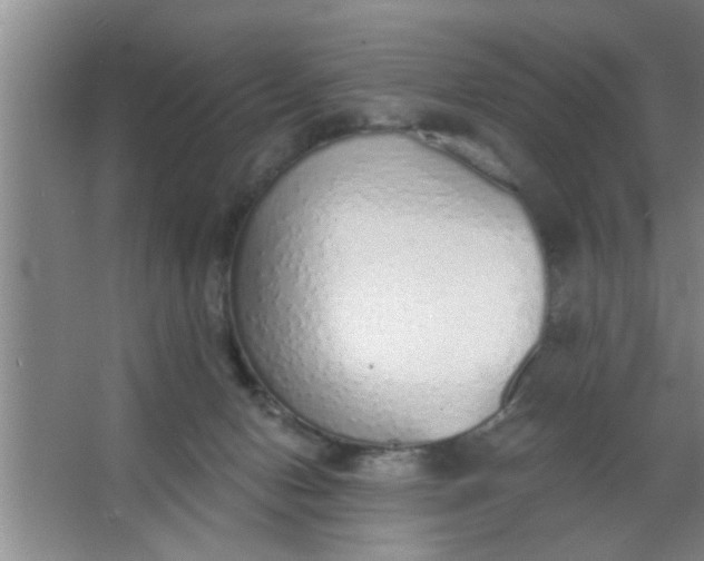 X0000063450078200602031819