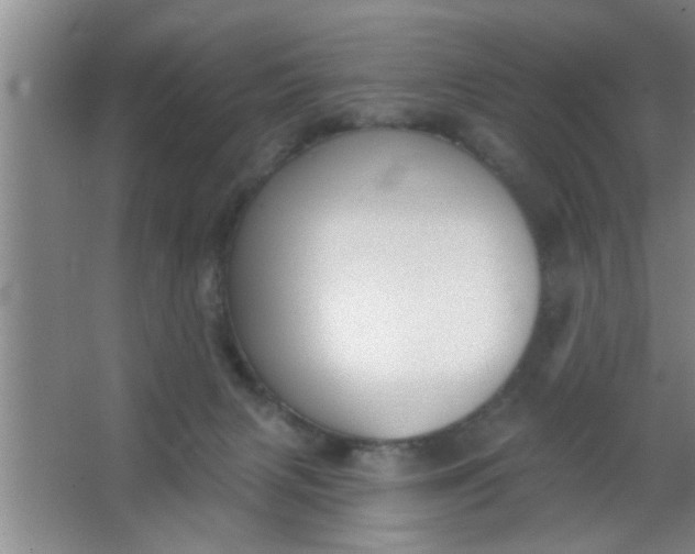 X0000063450079200602031819