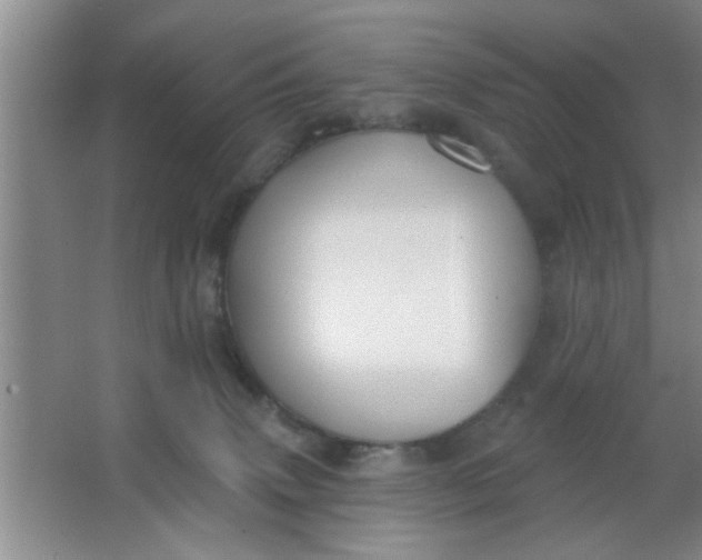 X0000063450083200602031819