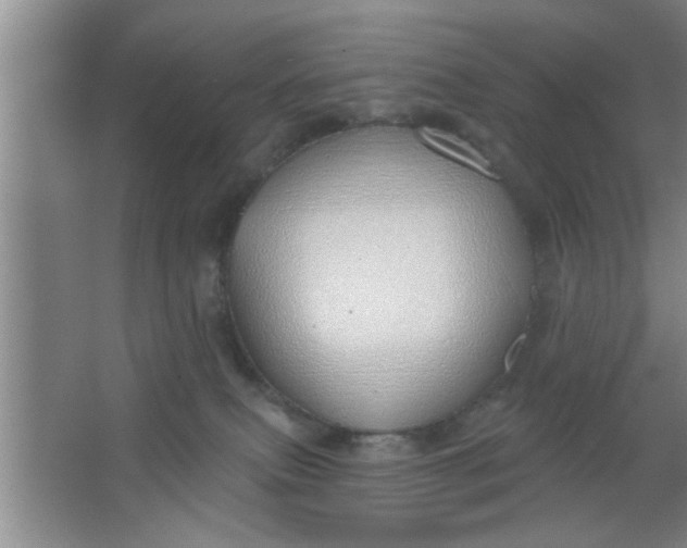 X0000063450087200602031819