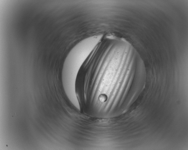 X0000063450088200602031819