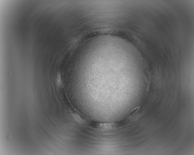 X0000063450089200602031819