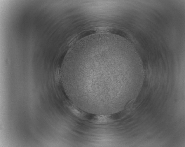 X0000063450093200602031819