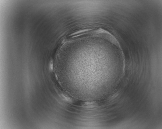 X0000063450095200602031819