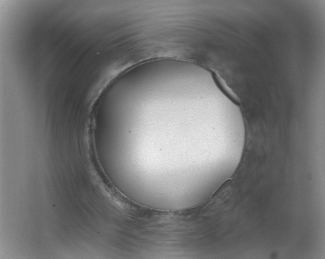 X0000063450098200602031818