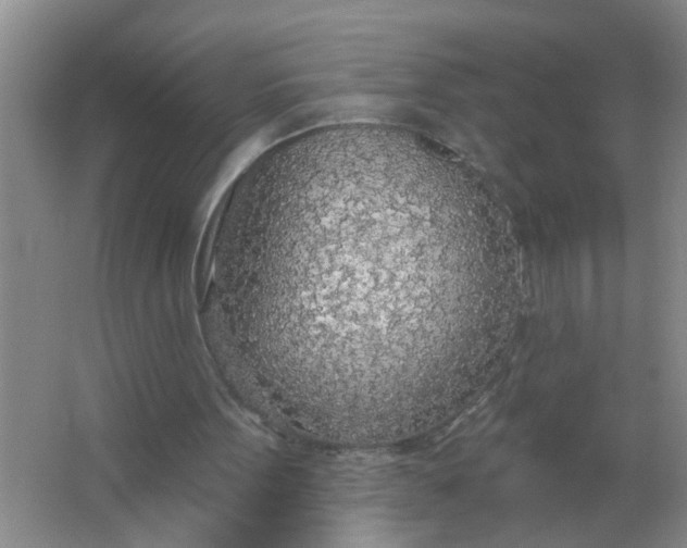 X0000063450099200602031818