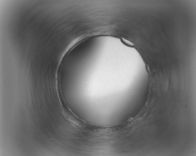 X0000063450100200602031818