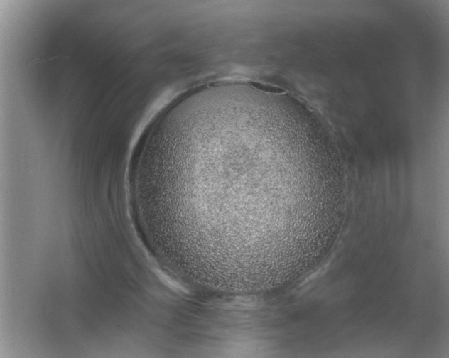 X0000063450102200602031818