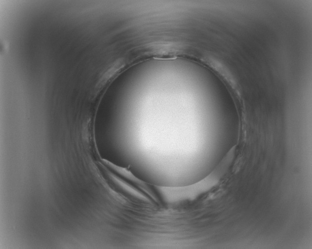 X0000063450105200602031818