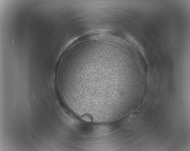 X0000063450107200602031818