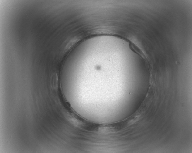 X0000063450109200602031818