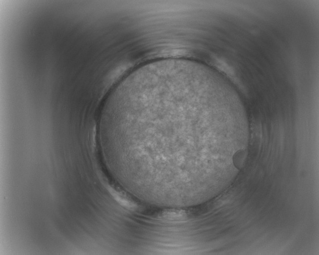 X0000063450110200602031818