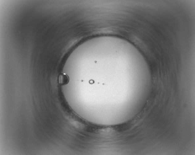 X0000063450112200602031818