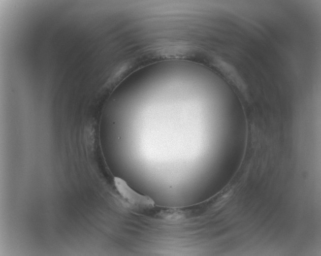 X0000063450113200602031818