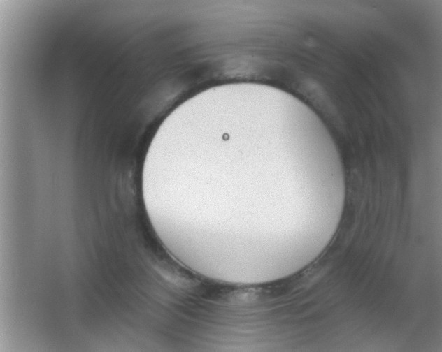 X0000063450116200602031818