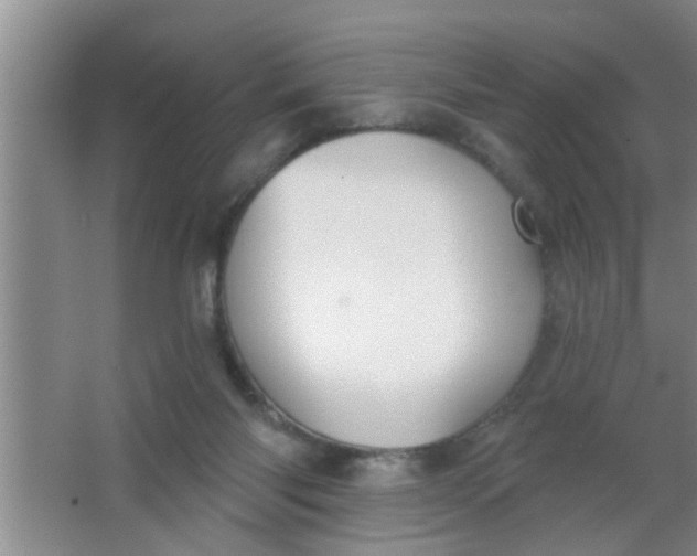 X0000063450118200602031818