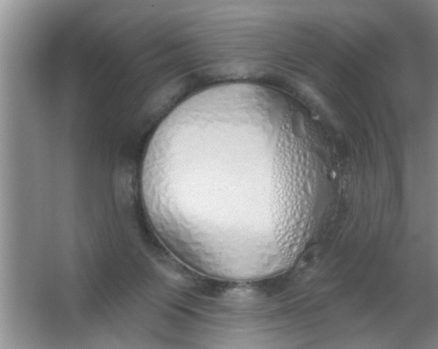 X0000063450119200602031818