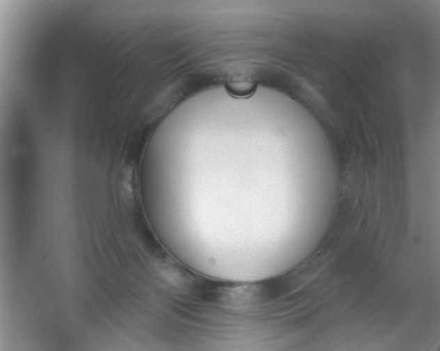 X0000063450122200602031818