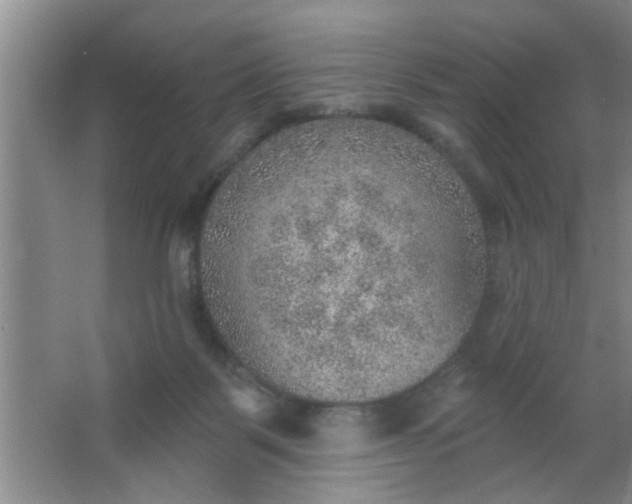 X0000063450123200602031818