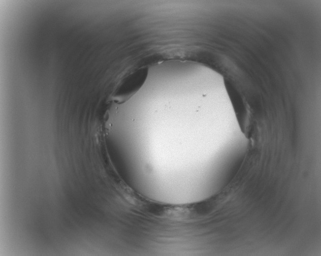 X0000063450125200602031818