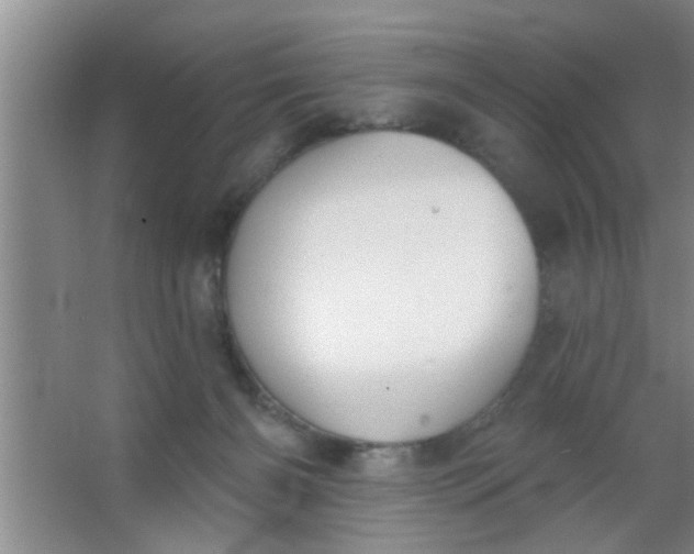 X0000063450126200602031818