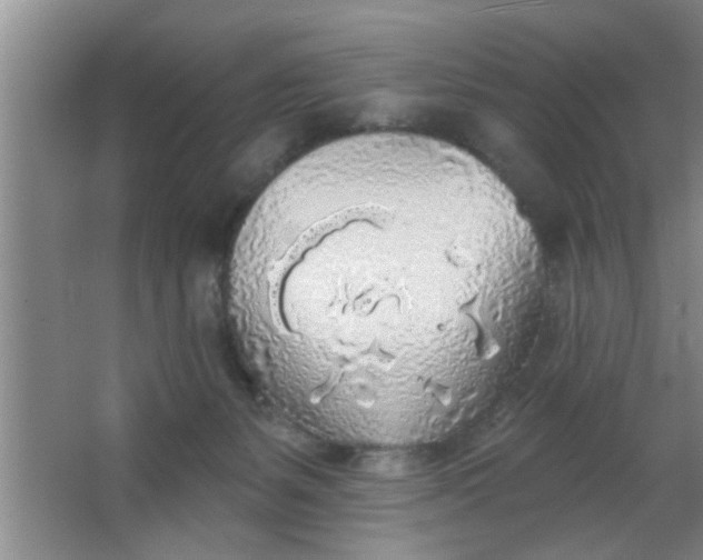 X0000063450127200602031818