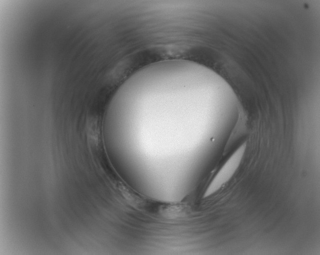 X0000063450129200602031818