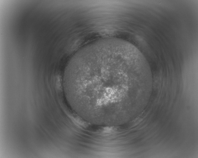 X0000063450130200602031818