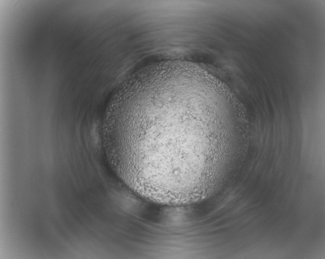 X0000063450131200602031818