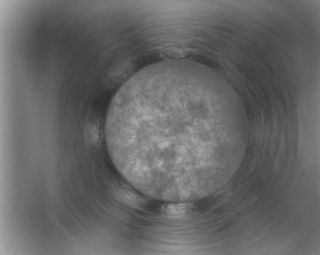 X0000063450134200602031818