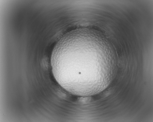 X0000063450135200602031818