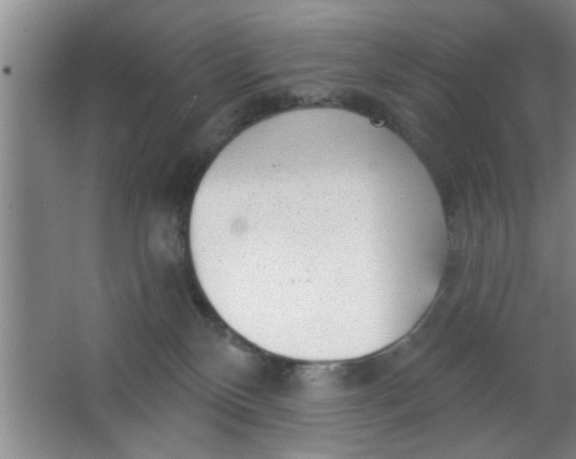 X0000063450136200602031818